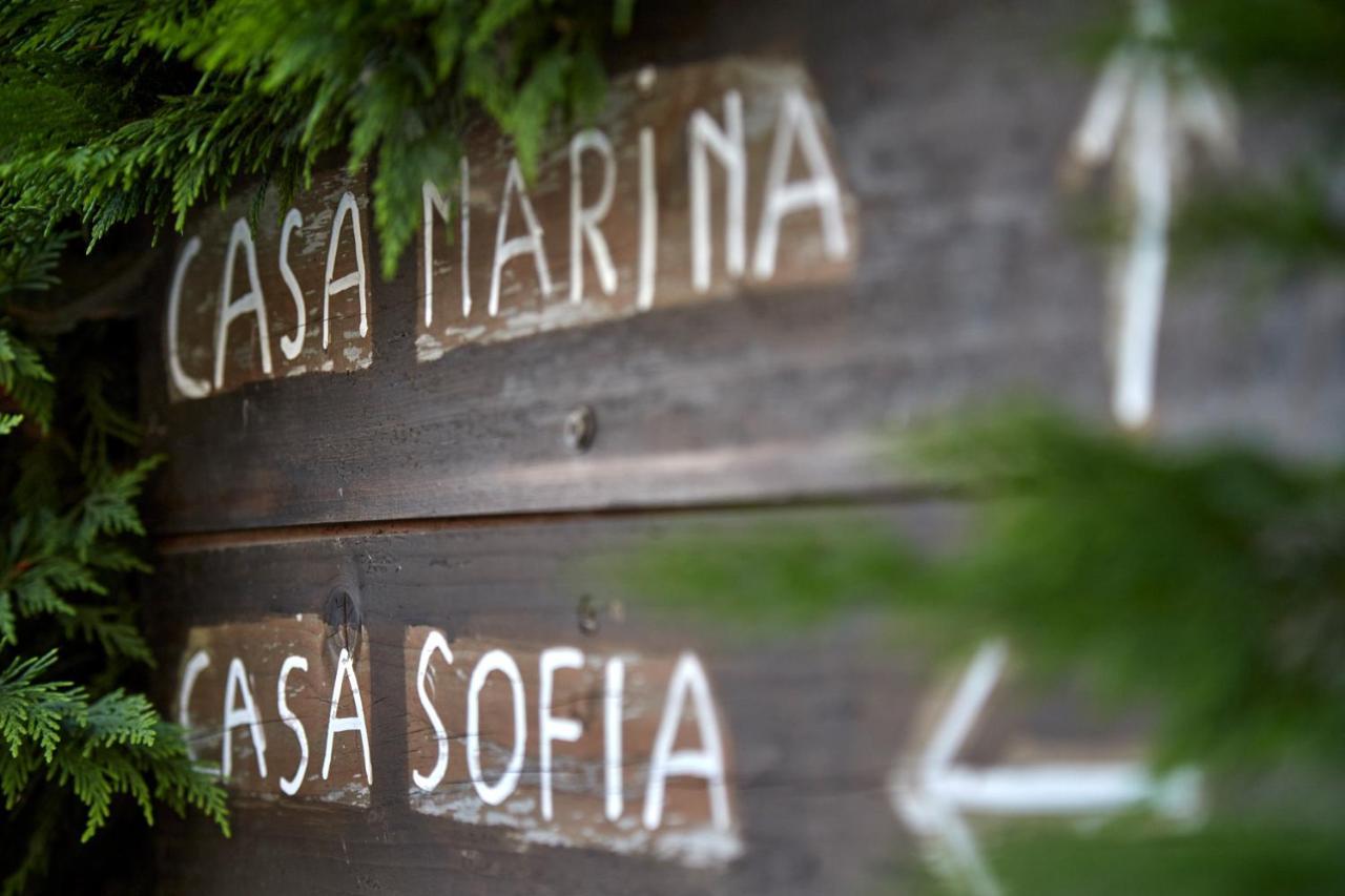 Agriturismo Da Rosy Codevigo Exterior photo