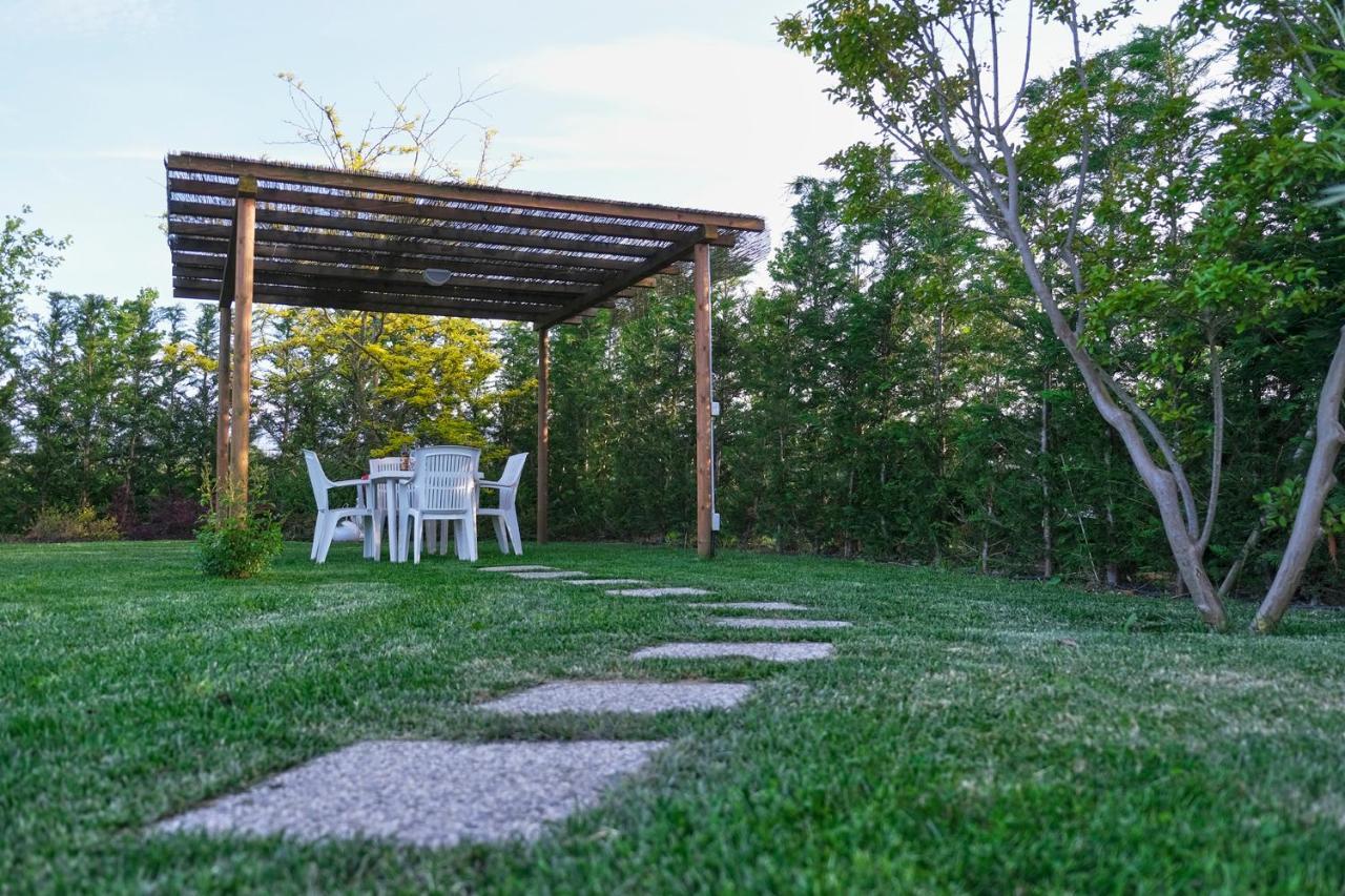 Agriturismo Da Rosy Codevigo Exterior photo