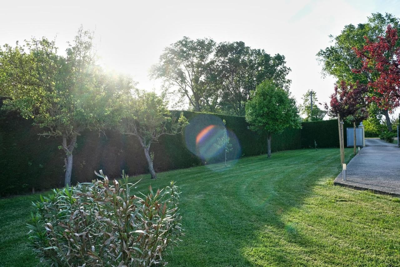 Agriturismo Da Rosy Codevigo Exterior photo